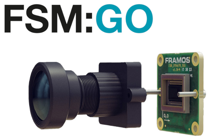 FSM:GO